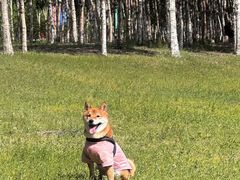 -哈尔滨大剧院
