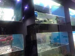 -全乐鱼馆·淳牌有机鱼直营店