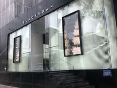 -BLACKSWAN黑天鹅(环球店)