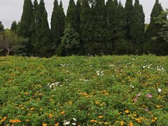 -华东政法大学(松江校区)