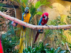 -杭州开元森泊度假乐园