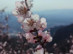 -北京凤凰岭