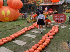 -HERRE·FARM 赫尔露营农场·团建聚会包场