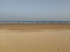 -日照海滨国家森林公园