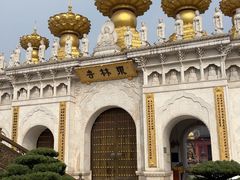 -上海东林寺(金山区)