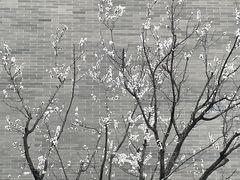 -唐御宴•御宴宫•唐代菜点(芙蓉西路店)