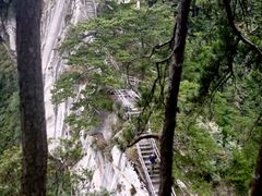 -内乡宝天曼生态旅游区
