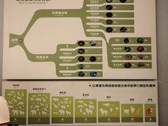 -广东省博物馆