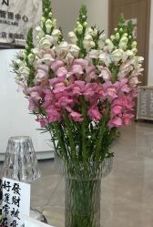 -倩极·精研痘敏肌管理