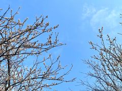 -广州市流溪河国家森林公园