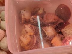 -老字號·桥下猪肚(龙眼南路店)