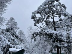 -安吉龙王山风景区