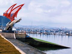 -日照世帆赛基地