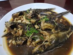 -杨辉饭店