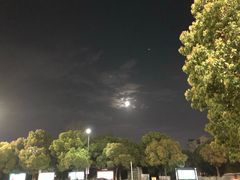 -南湖船菜大酒店