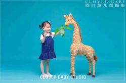 -四叶草环球旅拍