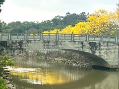 -长洲岛