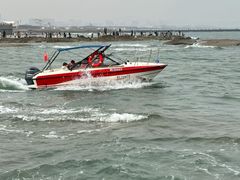 -日照海滨国家森林公园