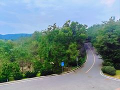 -棒棰岛宾馆景区