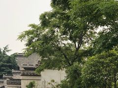 -镇江市南山风景名胜区竹林景区