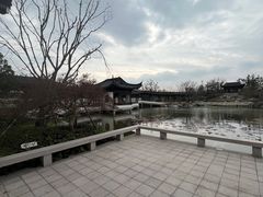 -上海滨江森林公园