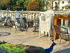 -J Create城市露营咖啡·简餐·宠物(上海动物园店)