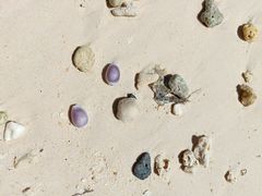 -白沙滩