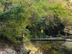 -少华山国家森林公园