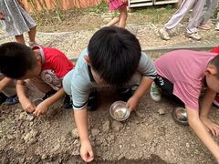 -井德幼儿园(泰达园)