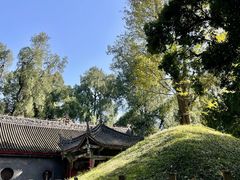 -武侯墓风景区