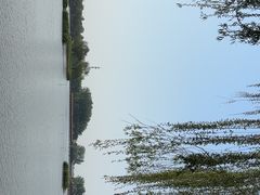 -白洋淀景区