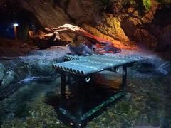 -暹罗海洋世界