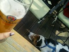 -Paulaner·德国帕拉娜自酿啤酒餐厅(海上世界店)