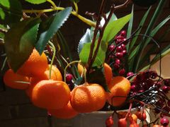 -呷哺呷哺 黄金牧场 (欢乐谷店)