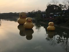 -上海海湾国家森林公园