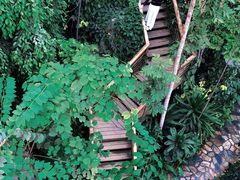 -郑州植物园