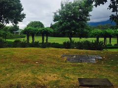 -福建鲤鱼洲酒店