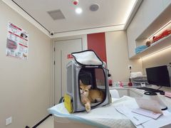 -御宝贝24h宠物医院·转诊中心·CT核磁血透中心(厦门总院)