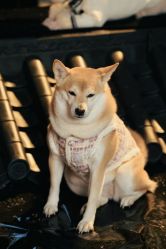 -瞳摄影写真旗舰店