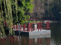 -荔湾湖公园