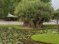 -中国科学院西双版纳热带植物园