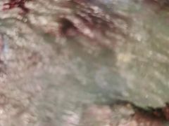 -醉美东江·三文鱼·烧鸡公