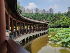 -龙头寺公园