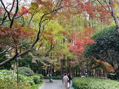 -中山公园