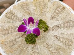 -官塘陈记鱼生·潮汕砂锅粥·牛肉火锅(潮枫路总店)