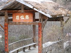 -黄龙山原始森林景区
