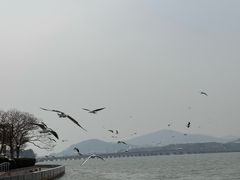 -水上明月·湖景餐厅