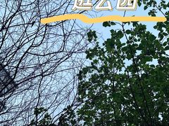 -昆山城市公园
