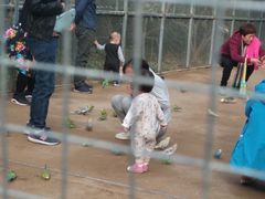 -呀路古热带植物园