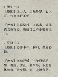 -Fundi张玉珊修身堂·indiba·BTL科技瘦身